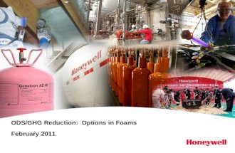 ODS/GHG Reduction: Options in Foams February 2011.