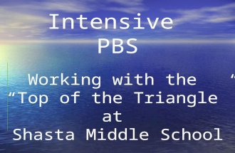 Intensive PBS Working with the Top of the Triangle at Shasta Middle School.