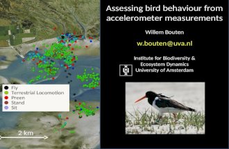 2 km Fly Terrestrial Locomotion Preen Stand Sit Assessing bird behaviour from accelerometer measurements Willem Bouten w.bouten@uva.nl Institute for Biodiversity.