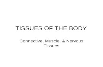 TISSUES OF THE BODY Connective, Muscle, & Nervous Tissues.