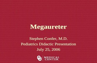 Megaureter Stephen Confer, M.D. Pediatrics Didactic Presentation July 25, 2006.