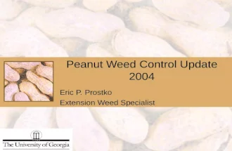 Peanut Weed Control Update 2004 Eric P. Prostko Extension Weed Specialist.