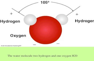 The water molecule two hydrogen and one oxygen H20.