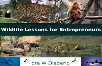 Andre W Andre W Diederichs Wildlife Lessons for Entrepreneurs.