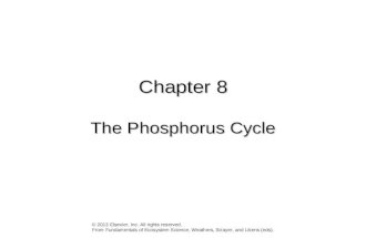 Chapter 8 The Phosphorus Cycle © 2013 Elsevier, Inc. All rights reserved. From Fundamentals of Ecosystem Science, Weathers, Strayer, and Likens (eds).