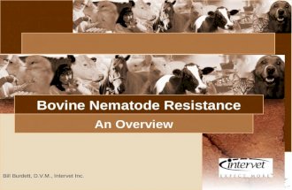 Introduction Bill Burdett, D.V.M., Intervet Inc. Bovine Nematode Resistance An Overview.