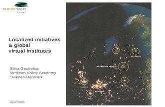 Localized initiatives & global virtual institutes Stina Gestrelius Medicon Valley Academy Sweden-Denmark April 2005.