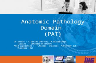 Anatomic Pathology Domain (PAT) Co-chairs : C.Daniel (France), M.Garcia-Rojo (Spain),T.Schrader (Germany) APSR Supplement : F.Macary (France), M.Kennedy.