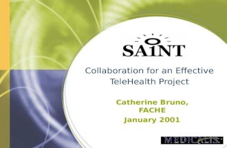 Collaboration for an Effective TeleHealth Project Catherine Bruno, FACHE January 2001.