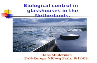 Biological control in glasshouses in the Netherlands. Hans Muilerman PAN-Europe NIC-wg Paris, 8-12-09.