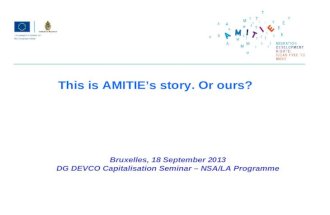 Bruxelles, 18 September 2013 DG DEVCO Capitalisation Seminar – NSA/LA Programme This is AMITIEs story. Or ours?