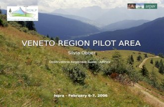 VENETO REGION PILOT AREA Silvia Obber VENETO REGION PILOT AREA Silvia Obber Osservatorio Regionale Suolo - ARPAV Ispra - February 6-7, 2006.