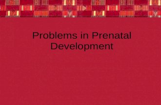 Problems in Prenatal Development. Miscarriage Loss of a baby PRIOR TO the 20 th week of pregnancy.