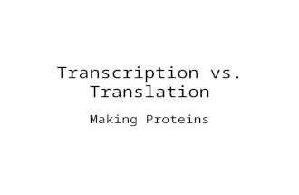 Transcription vs. Translation Making Proteins. fromtoto make up Reviewing RNA Section 12-3 also calledwhich functions toalso called which functions to.