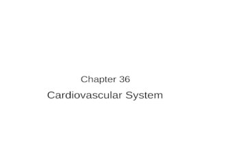 Chapter 36 Cardiovascular System. Anatomy and Physiology Review Heart, its vasculature, and peripheral vascular system Functions: –Provides oxygen, nutrients,