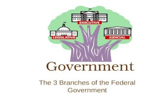 The 3 Branches of the Federal Government Government.