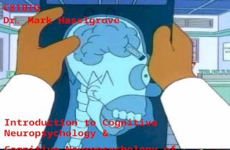 Introduction to Cognitive Neuropsychology & Cognitive Neuropsychology of Language C81BIO Dr. Mark Haselgrove.