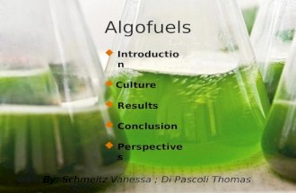 Algofuels Introduction Culture Results Conclusion Perspectives By: Schmeltz Vanessa ; Di Pascoli Thomas.