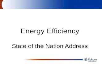 Energy Efficiency State of the Nation Address. In this presentation 1.Efficient geyser control 2.Efficient lighting 3.Efficient space heating 4.Air-conditioning.