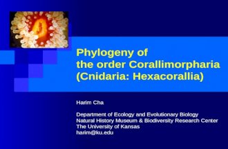Phylogeny of the order Corallimorpharia (Cnidaria: Hexacorallia) Harim Cha Department of Ecology and Evolutionary Biology Natural History Museum & Biodiversity.