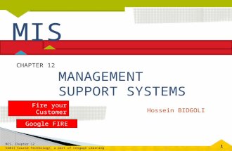 MANAGEMENT SUPPORT SYSTEMS CHAPTER 12 Hossein BIDGOLI MIS Fire your Customer Google FIRE.