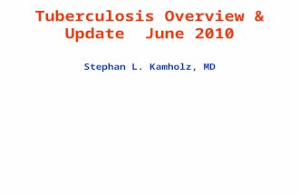 Tuberculosis Overview & Update June 2010 Stephan L. Kamholz, MD.