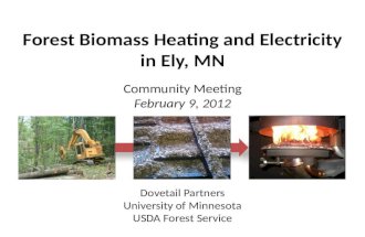 Forest Biomass Heating and Electricity in Ely, MN Community Meeting February 9, 2012 Dovetail Partners University of Minnesota USDA Forest Service.