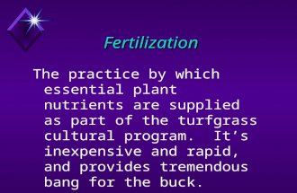 Fertilization The practice by which essential plant nutrients are supplied as part of the turfgrass cultural program. Its inexpensive and rapid, and provides.