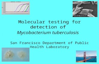 Molecular testing for detection of Mycobacterium tuberculosis San Francisco Department of Public Health Laboratory.