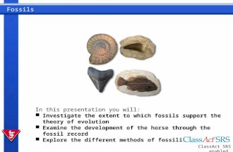 Fossils In this presentation you will: Investigate the extent to which fossils support the theory of evolution Examine the development of the horse through.