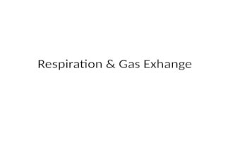 Respiration & Gas Exhange. Respiration Two processes: 1. Release of energy from breakdown of food molecules. All living cells use oxygen to release energy.