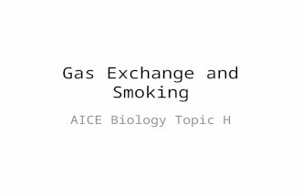 Gas Exchange and Smoking AICE Biology Topic H. Learning Outcomes (a)Describe the structure of the human gas exchange system, including the microscopic.