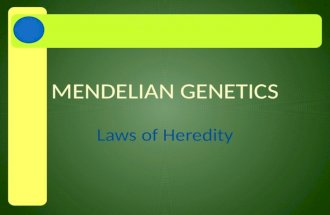 MENDELIAN GENETICS Laws of Heredity. A.Origins of Genetics Passing characteristics from parent to offspring is called heredity Accurate study of heredity.