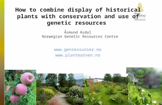 How to combine display of historical plants with conservation and use of genetic resources Åsmund Asdal Norwegian Genetic Resources Centre .