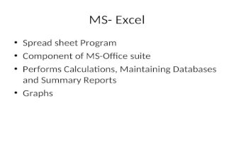 MS- Excel Spread sheet Program Component of MS-Office suite Performs Calculations, Maintaining Databases and Summary Reports Graphs.