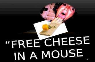“FREE CHEESE IN A MOUSE TRAP” 1. 2 A Childhood Experience.