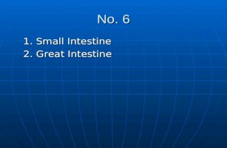 No. 6 1. Small Intestine 1. Small Intestine 2. Great Intestine 2. Great Intestine.