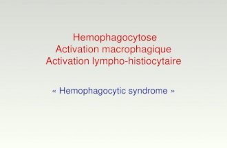 Hemophagocytose Activation macrophagique Activation lympho-histiocytaire « Hemophagocytic syndrome »