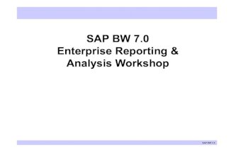 SAP BI Reporting