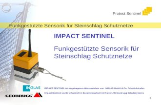 Funkgestützte Sensorik für Steinschlag Schutznetze Protect Sentinel 1 IMPACT SENTINEL Funkgestützte Sensorik für Steinschlag Schutznetze IMPACT SENTINEL.