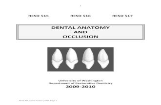 Dental Anatomy Manual