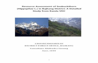 Resource Assessment of Seabuckthorn_Hippophae L