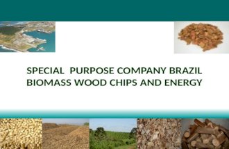 News Brazil Biomass Export Wood Chips