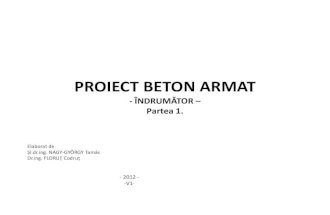 Indrumator Proiect  Beton Armat - 2013