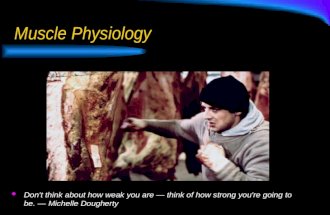 Internal Muscle Anatomy and Physiology Powerpoint