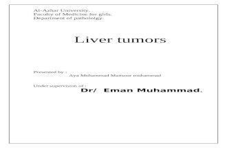 Liver Tumor