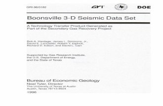 3D Seismic Set Boonsville