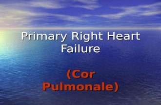 2007 Primary Right Heart Failure Cor Pulmonale