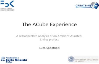 The ACube Experience