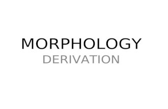 Morphology   derivation